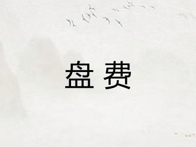 盘费