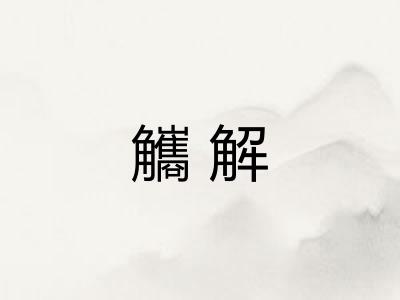 觿解