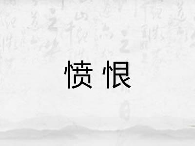 愤恨