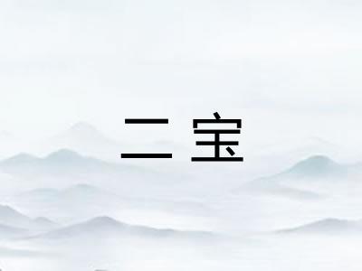二宝