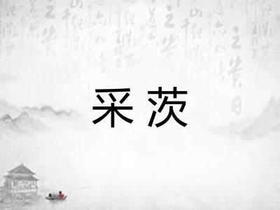 采茨