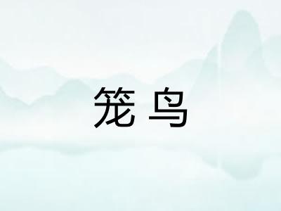 笼鸟