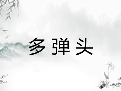 多弹头