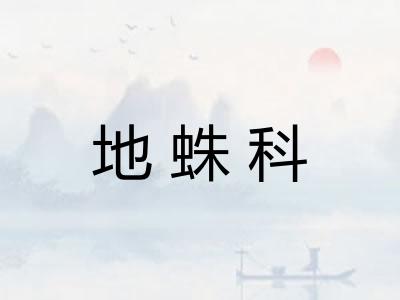 地蛛科