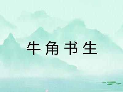 牛角书生