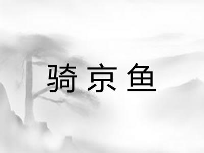 骑京鱼
