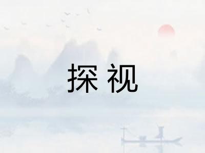 探视