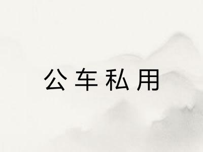公车私用