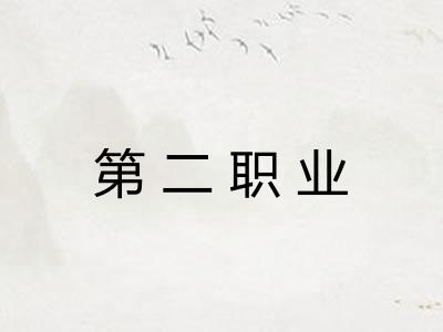 第二职业