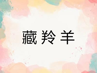 藏羚羊
