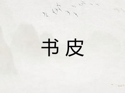 书皮