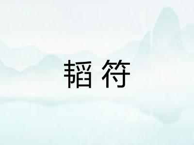 韬符