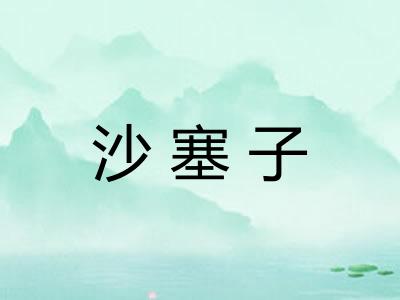 沙塞子