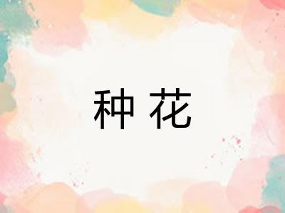 种花