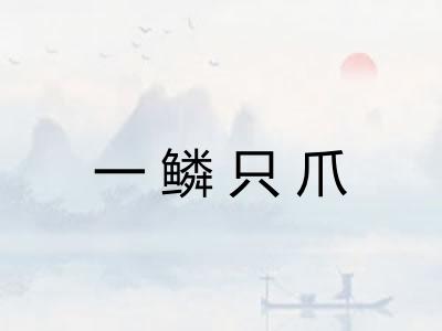 一鳞只爪