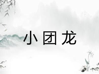 小团龙