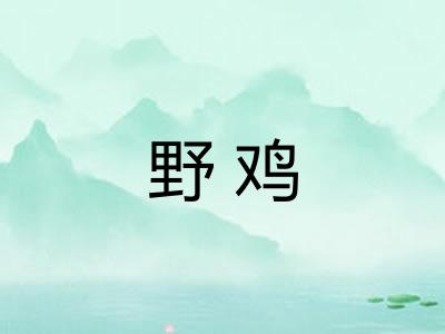 野鸡
