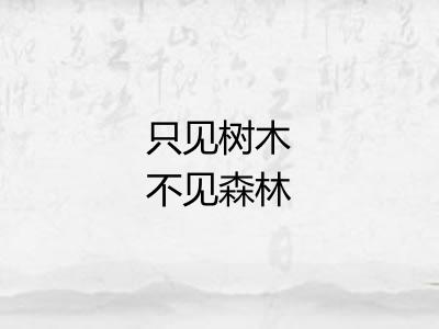 只见树木不见森林
