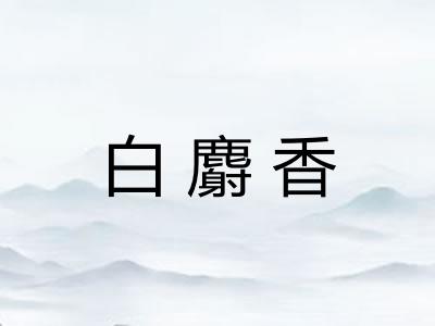白麝香