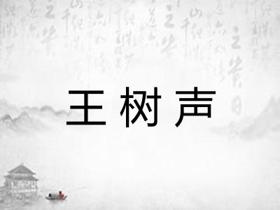 王树声