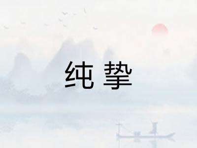 纯挚