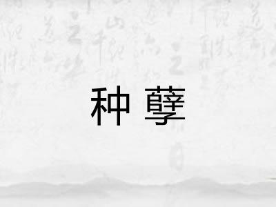 种孽
