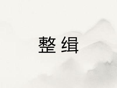 整缉