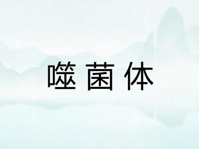 噬菌体