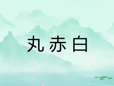 丸赤白