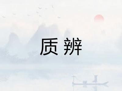 质辨