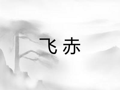 飞赤