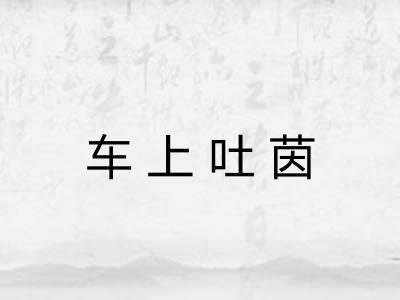 车上吐茵