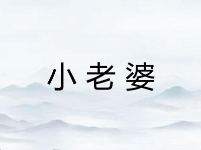 小老婆