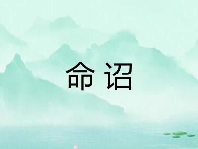 命诏