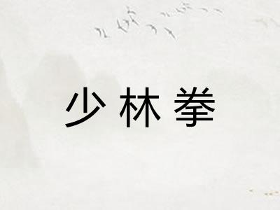 少林拳