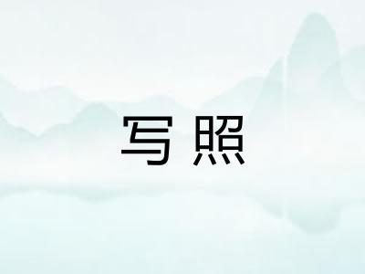 写照