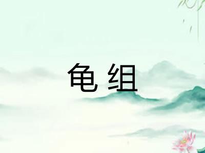 龟组