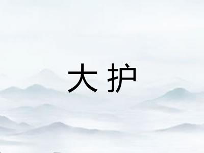 大护