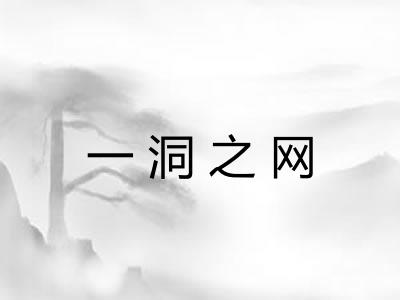 一洞之网
