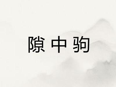 隙中驹