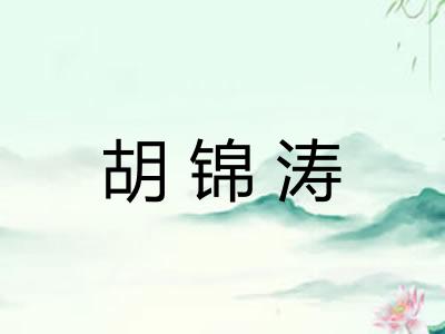 胡锦涛