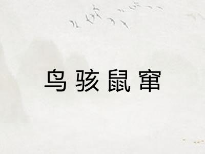 鸟骇鼠窜
