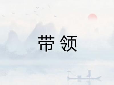 带领