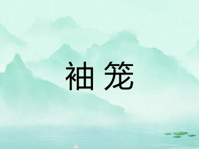 袖笼