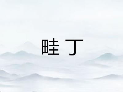 畦丁