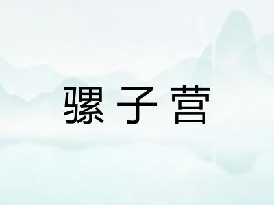 骡子营