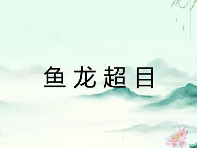 鱼龙超目