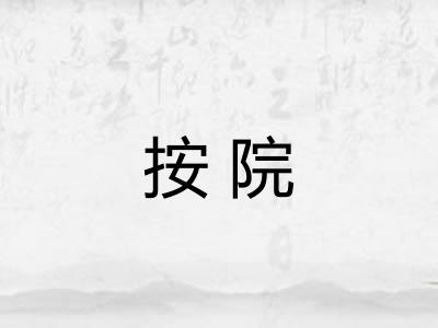 按院