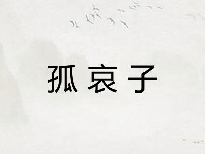 孤哀子