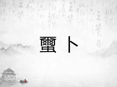 蠒卜